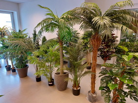 showroom STUDIOGREEN